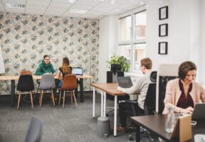 Záběr na coworking Pracovna R51 v Riegrově 51 s lidmi