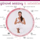 A4_orgány_2024_II (00000002)