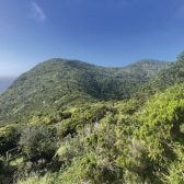 578995427_1365602648909342_2311039301596857193_n